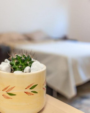 Nopal casa vacanze San Vito Dei Normanni